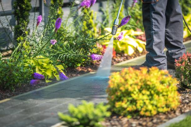 Best Patio and Deck Pressure Washing  in West Hurley, NY